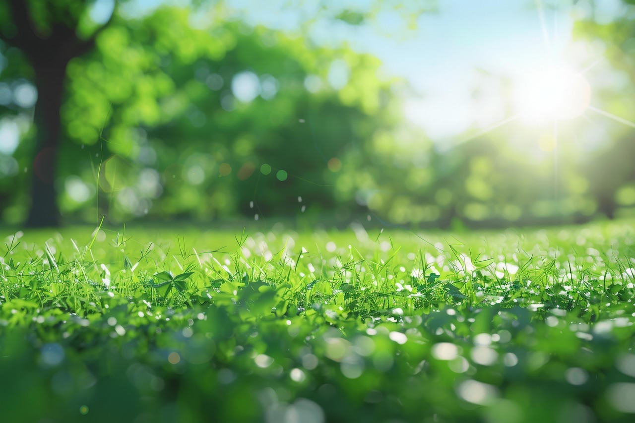 Prognoza meteo pentru agricultură: Culturile vor înregistra procese de creștere și dezvoltare în general normal în majoritatea zonelor