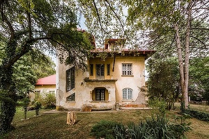 FOTO Conacul Angelescu, construit cu elemente Art Deco în perioada interbelică, se vinde cu 300.000 de euro
