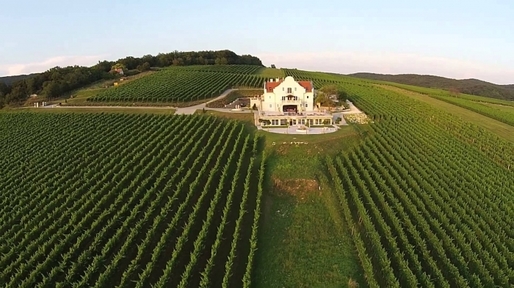 Domeniul turistic viticol Liszkay din nordul lacului Balaton este scos la licitație pentru 6 milioane de euro