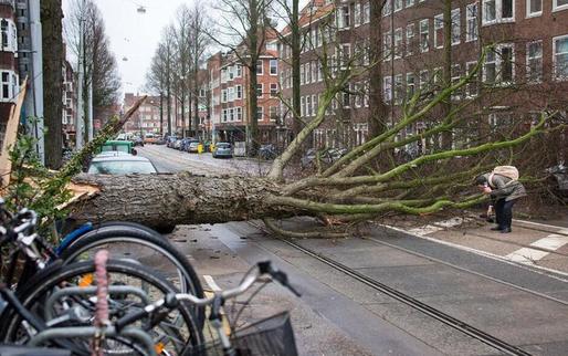 Vânturi violente în vestul Europei: Trei persoane au murit în Olanda, o femeie a decedat în Belgia, transporturile în Germania afectate