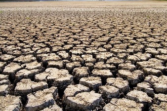 Letonia a decretat stare de calamitate agricolă din cauza secetei, cea mai gravă din ultimii 10 ani