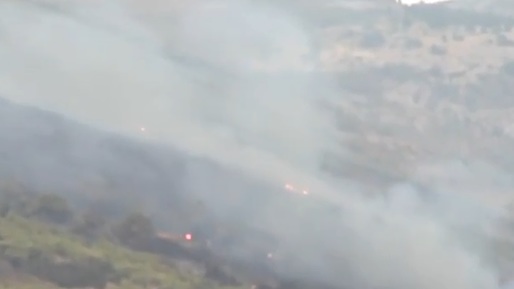 VIDEO Incendiu de proporții în apropiere de stațiunea grecească Nea Makri