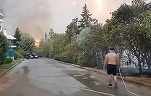 VIDEO Grecia: Locuințe în flăcări și mii de persoane evacuate din cauza incendiilor. Cluburile de echitație au dat drumul cailor pentru a fugi