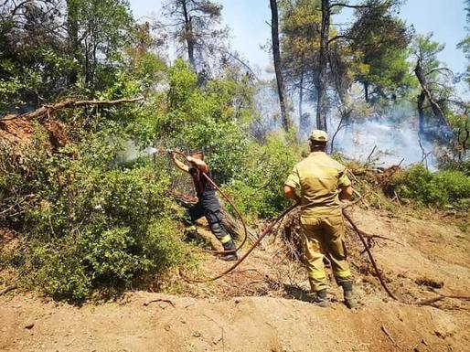 Insula Thassos oferă vacanțe gratuite pentru pompierii români care ajută la stingerea incendiilor. Cu o condiție