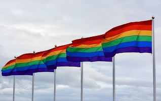 Presa pro-guvernamentală de la Budapesta: România „a aruncat cu un tort cu frișcă în obrazul UE”. Punem pariu că România va scăpa fără nicio problemă după respingerea parteneriatului civil?