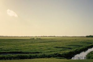 Ungaria, pas înapoi în fața vociferărilor - susține că a renunțat la planul de a cumpăra terenuri agricole în țările vecine