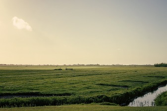 Ungaria, pas înapoi în fața vociferărilor - susține că a renunțat la planul de a cumpăra terenuri agricole în țările vecine