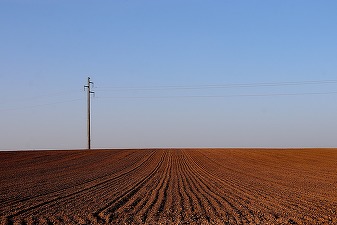 Din cauza războiului, recolta de cereale a Ucrainei riscă să fie redusă la jumătate 