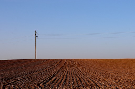 Din cauza războiului, recolta de cereale a Ucrainei riscă să fie redusă la jumătate 