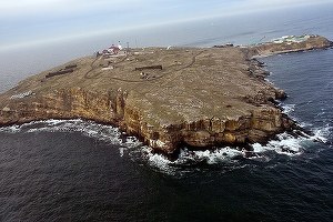 Ucraina susține că a atacat cu rachete Insula Șerpilor