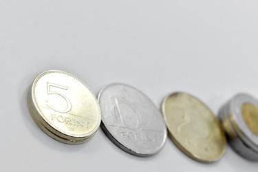 Banca centrală a Ungariei a luat prin surprindere analiștii cu o nouă majorare de dobândă, după ce forintul a scăzut la un minim record