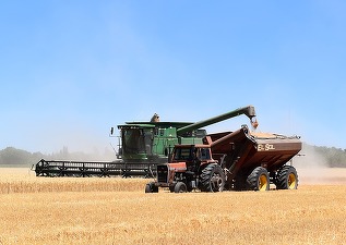 Piața cerealelor se pregătește pentru o creștere a prețurilor, după retragerea Rusiei din acordul privind coridorul Mării Negre