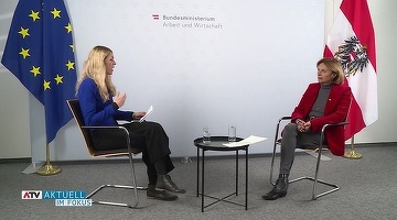 Secretarul de stat pentru turism din Austria a criticat într-un interviu veto-ul țării sale pentru aderarea României la Schengen, dar apoi și-a rectificat declarația