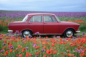 Producția de automobile în Rusia a scăzut la cel mai redus nivel de după destrămarea URSS
