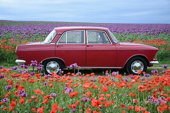 Producția de automobile în Rusia a scăzut la cel mai redus nivel de după destrămarea URSS