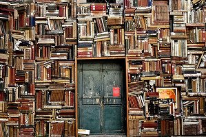 Rușii au confiscat cărți ucrainene din bibliotecile și școlile din estul ocupat al regiunii Luhansk și le-au ars în centrale termice
