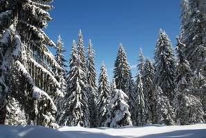Numărul de turiști din România și Moldova în stațiunea Pamporovo din Bulgaria, în creștere