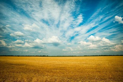 Fermierii din Ucraina nu pot lucra terenurile agricole, multe fiind minate