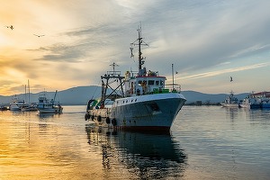 Bulgaria contează și anul acesta pe turiștii din România. Creștere de 18,5% a zborurilor planificate din Germania pe aeroporturile din Varna și Burgas