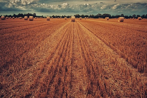 Ucraina: Exporturile de cereale au scăzut cu 24%