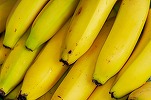 Rusia s-a supărat atât de tare pe Ecuador că a oprit 90% dintre importurile de banane