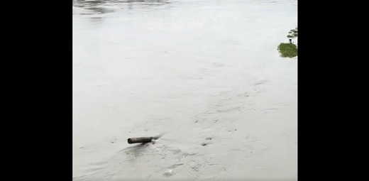 VIDEO Austria închide navigația pe Dunăre, în timp ce inundațiile puternice se răspândesc în Europa Centrală