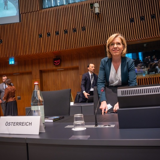 Viena vrea să anuleze votul "ilegal" al propriului ministru 