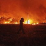 VIDEO Incendii de pădure în Turcia: cinci morți și zeci de răniți
