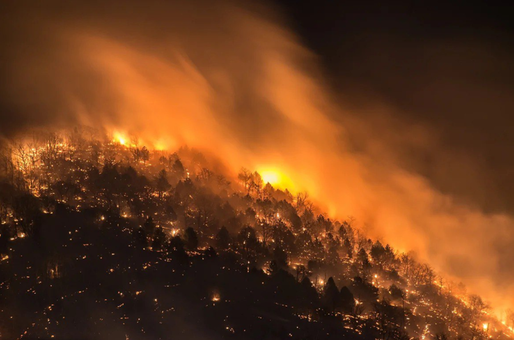VIDEO Peste un milion de hectare de păduri, cuprinse de incendii în Rusia