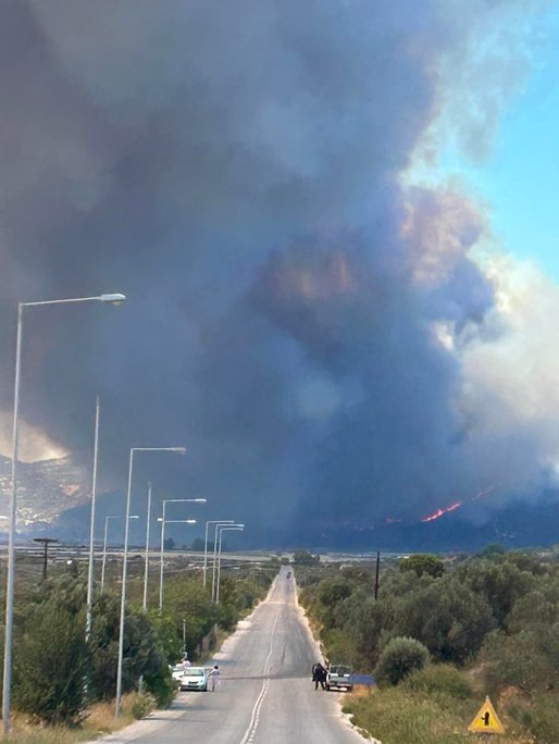 Incendiile de vegetație fac ravagii în Grecia și Balcani după săptămâni de vreme toridă