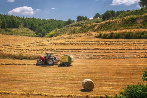 Rusia: Culturile agricole de iarnă, în cea mai proastă stare din istorie