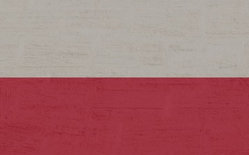 Atac cibernetic împotriva partidului premierului Donald Tusk, cu două zile înaintea alegerilor prezidențiale din Polonia