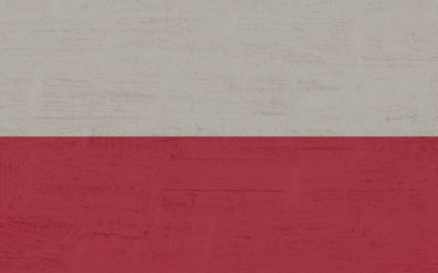Atac cibernetic împotriva partidului premierului Donald Tusk, cu două zile înaintea alegerilor prezidențiale din Polonia