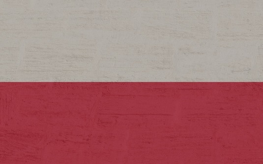 Atac cibernetic împotriva partidului premierului Donald Tusk, cu două zile înaintea alegerilor prezidențiale din Polonia