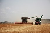 Rusia își majorează exporturile de cereale cu recoltele din teritoriile ucrainene ocupate