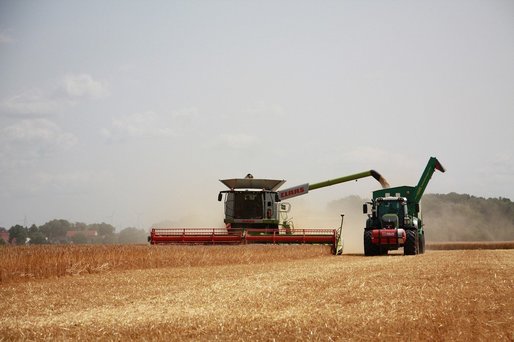 Rusia își majorează exporturile de cereale cu recoltele din teritoriile ucrainene ocupate
