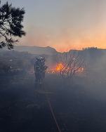 VIDEO Pompierii români intervin pentru stingerea unui incendiu de vegetație Grecia