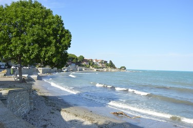 Bulgaria a cerut turiștilor germani prețuri cu 44% mai mari pe litoral, față de o creștere de 14% pentru turiștii interni. Prețurile scad în toamnă