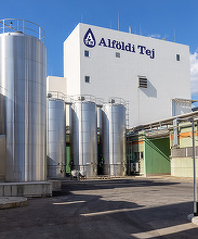 Ungaria blochează vânzarea unei mari companii către un investitor străin