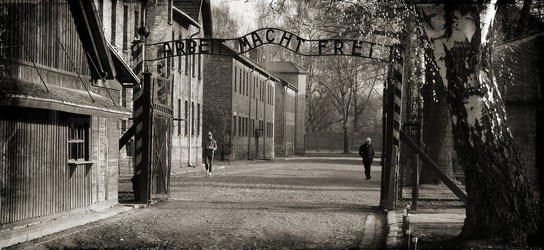 Conflict la Muzeul Auschwitz-Birkenau cu agențiile de turism. „Practici neetice” prin care sunt aduși vizitatori fără rezervări prealabile