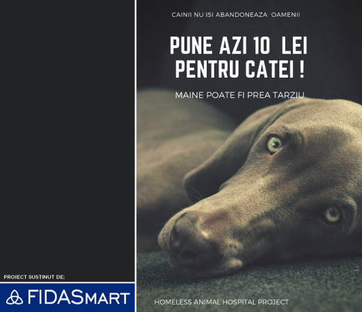 Avocatura pro bono: FIDASmart este alături de Homeless Animal Hospital în proiectul național de acordare de asistență medicală animalelor fără stăpân