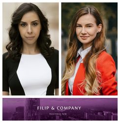 GUEST WRITER Filip & Company: Un prim pas în reglementarea violenței cibernetice