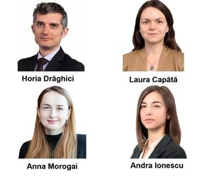 Acțiunile colective în România și perspectiva reformării lor la nivelul Uniunii Europene