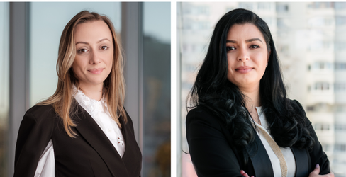 GUEST WRITER Pop Briciu Crai: Partea a IIIa, Cazuri particulare privind suspendarea actelor subsecvente contractelor administrative