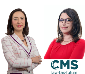 România a devenit un magnet pentru investitori în tehnologie (TMT)