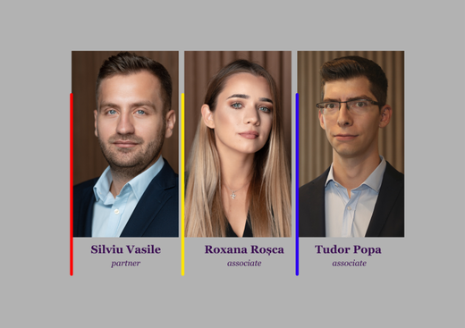 Digital Services Act – responsabilizarea operatorilor din mediul online