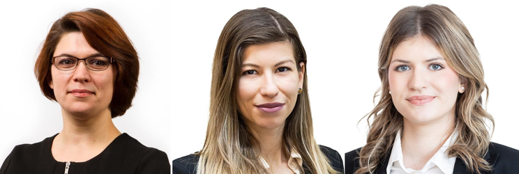 Reglementarea telemedicinei în România. Scurte considerații asupra potențialelor provocări pentru furnizorii implicați