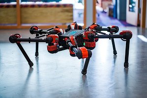 Roboții antrenați folosind învățarea autodidactă devin eficienți într-un timp scurt