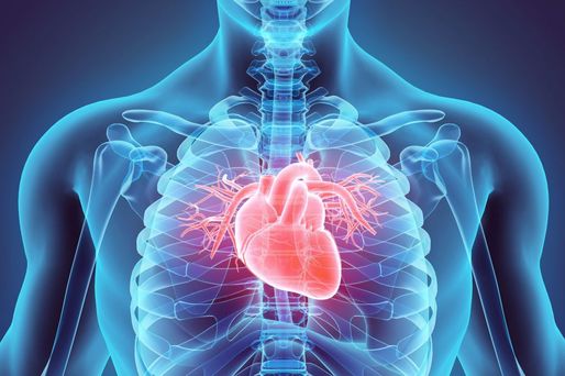 AI-ul poate măsura riscul decesului din cauze cardiace