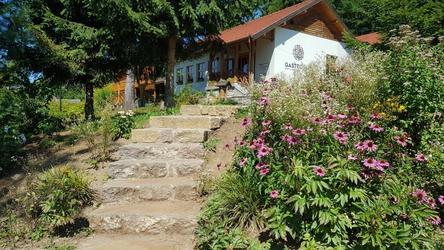 O cină memorabilă în Carpații Orientali ai Covasnei…